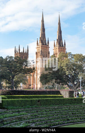 Blick über einen Teil des Hyde Park auf Sydneys römisch-katholisches, gotisches Revival, St Mary's Cathedral in New South Wales, Australien Stockfoto