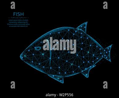 Fisch Low-Poly Modell, Tier in polygonalen Stil, Unterwasser Welt Drahtmodell Vector Illustration aus Punkten und Linien auf schwarzem Hintergrund Stock Vektor