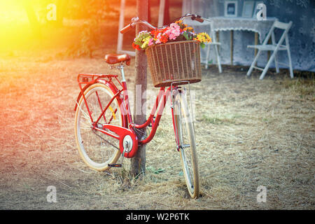 Retro rot Fahrrad in einem Garten mit einem Korb mit Blumen in den Strahlen der Sonne. Stockfoto