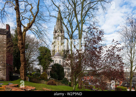 Die Stadt Cork, Cork, Irland. 06. April 2019. Saint Fin Barre's Cathedral, Cork City, Irland. Stockfoto