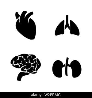 Menschliche Organe. Einfache ergänzende Vector Icons Set für Video, Mobile Anwendungen, Websites, Print Projekte und ihre Gestaltung. Schwarz auf Weiß Zurück Stock Vektor