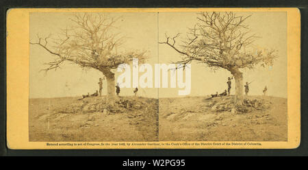 Ein einsamer Grab auf Schlachtfeld des Antietam, von Gardner, Alexander, 1821-1882 Stockfoto