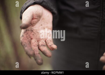 Schmutzige Hände nach der Gartenarbeit. Landwirt ohne Handschuhe Stockfoto