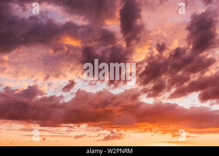 Himmel, hell Rosa, Orange und Coral Farben Sonnenuntergang. Instant Photo, getönten Bild Stockfoto