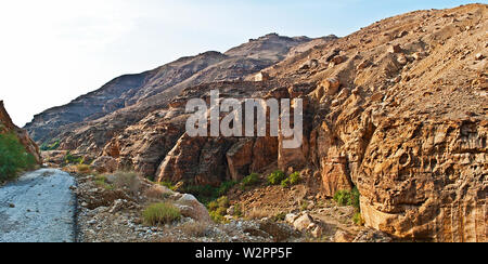 (Ibn) Wadi Bin Hammad (Jordanien), tief in die Felsen erodiert, ist dauerhaft durch (Heiß) Federn gefüllt. Es Dämme ins Tote Meer. Stockfoto