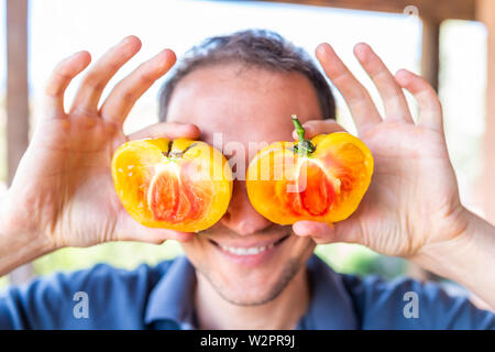 Nahaufnahme der Mann hält Schnitt Querschnitt des gelb-orange leuchtende Bunte heirloom Tomate im Sommer von Garten mit rot innen gegen Glücklich lächelnde Stockfoto