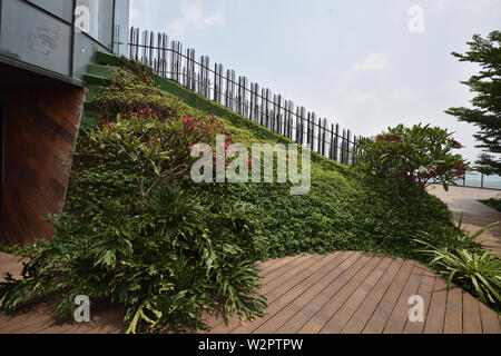 Wohnung, Dachterrasse, Sommer, Plantage, Liegestuhl, Frau, Freizeit