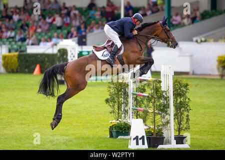 Harrogate. Yorkshire. 10. Juli 2019. 3. Platz. John Whitaker reiten Unick Du Francport. GBR. Internationale Treppe. Springen. Große Yorkshire zeigen. Große Yorkshire Showground. Harrogate. Yorkshire. Vereinigtes Königreich. 10.07.2019. Kredit Elli Birke/SIP-Foto Agentur/Alamy leben Nachrichten Stockfoto