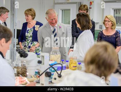 Ardingly, UK. 10. Juli 2019. Seine Königliche Hoheit, Prinz von Wales, der Patron der Royal Botanic Gardens, Kew, besuchte die Millennium Seed Bank in Wakehurst Ardingly, West Sussex. Fast zwanzig Jahre nachdem er öffnete sie. Er tourte auch einige der Gärten vor dem Besuch WakehurstÕs Krönung Wiese. Bild zeigen die Prinzen treffen, Wissenschaftlerinnen und Wissenschaftler mit der Gewölbe des Millennium Seed Bank. Bild von der Credit: Jim Holden/Alamy leben Nachrichten Stockfoto