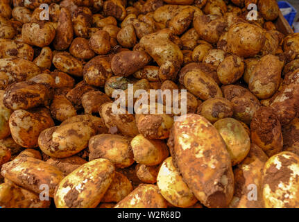 Auswahl von Zypern Kartoffeln auf Verkauf am Marktstand. Closeup Schuß von Kartoffeln. Stockfoto