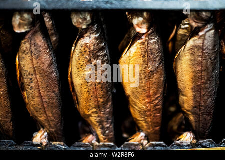 In der Nähe von Zeilen mit frisch geräuchertem ganze Forelle in einem Raucher. Stockfoto