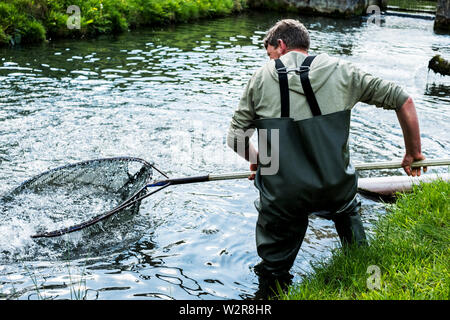 Mann, der watvögel in einem Fluß, der große Fisch net mit Forellen. Stockfoto