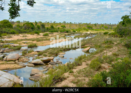 Blick auf den Masai Mara River in der Trockenzeit Kenia Stockfoto