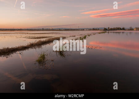 Landschaft und Reflexionen auf Wasser im Albufera Lagune, im Naturpark Albufera, Valencia, Spanien Stockfoto