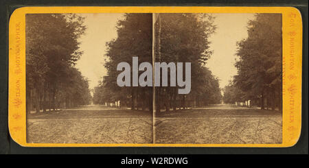 Bull Street, Savannah, GA (und Johnson Square), von Wilson, J N (Jerome Nelson), 1827-1897 Stockfoto