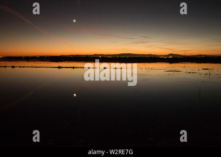 Nacht Landschaft im Albufera Lagune, die mit dem Mond und seiner Reflexion über Wasser im Naturpark Albufera, Valencia, Spanien Stockfoto