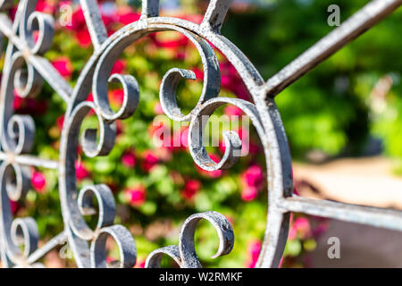 Nahaufnahme von Metall Zaun im Garten im Freien mit roten Blumen in Bokeh verschwommenen Hintergrund abstrakte Sicht Stockfoto