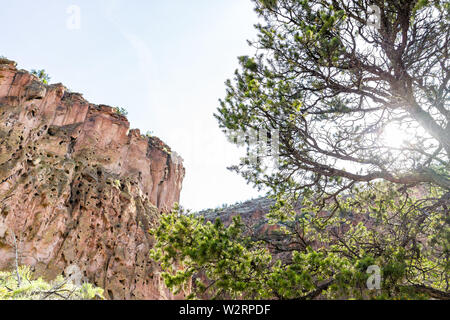 Low Angle View von Canyon Klippen am Main Loop Trail im Bandelier National Monument in New Mexico mit Sonne hinter Baum in Los Alamos Stockfoto