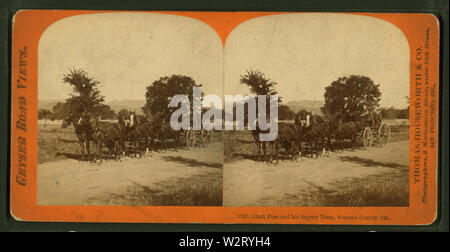 Clark Foss und seine Geysir Team, Sonoma County, Cal, von Thomas Houseworth & Co. Stockfoto