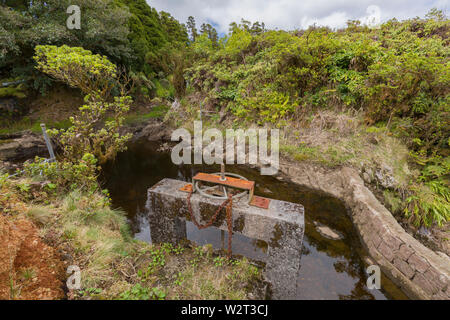 Kawainui Stream oben Kamuela (Waimea) mit Bewässerung Graben control in North Kohala, Hawaii Stockfoto