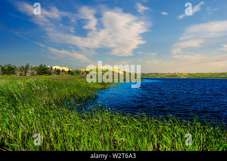 Sanddünen entlang der Sumpf in Greenwich am PEI National Park, Prince Edward Island, Kanada. Stockfoto