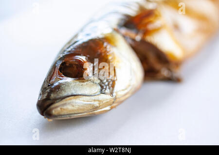 Leiter des Ganzen geräucherte Makrele Fisch mit Haut auf weißem Hintergrund. Fettige, ölige Fische ist eine ausgezeichnete und gesunde Quelle von DHA und EPA, die zwei ke Stockfoto