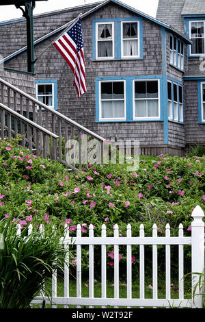 Wilden Strand Rosen blühen in einem Cottage Garden im Ocean Point in Boothbay, Maine. Stockfoto