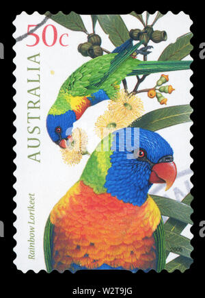 Australien - ca. 2005: einen Stempel in Australien gedruckten zeigt ein Bild von zwei Rainbow lorikeet Vögel, Serie, ca. 2005. Stockfoto