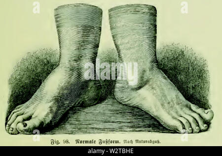 Die Frau als Hausärztin (1911) 098 Normale Fußform Stockfoto