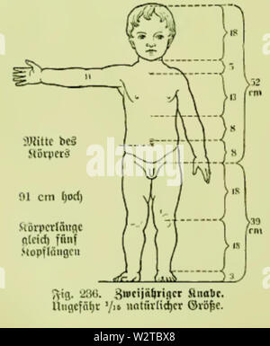 Die Frau als Hausärztin (1911) 236 Zweijähriger Knabe Stockfoto