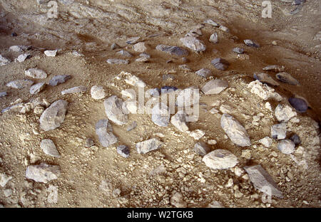 Die frühen Menschen, Homo erectus, Olorgesailie in der Region lebten, im südlichen Kenia, zwischen 1,2 Millionen und 490.000 Jahren vor. Ausgrabungen bei Olorgesailie zeigen Lebensräume und Tiere diese frühen Menschen angetroffen, die handaxe Tools, die Sie gemacht haben und die Herausforderungen, die sie trafen. Hunderte von handaxes in situ vor Ort frisch von der Erosion ausgesetzt. Stockfoto