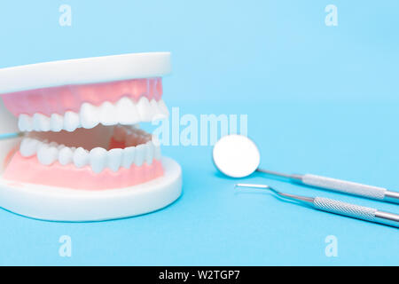 Kieferorthopädische Zähne Modell und professionellen Zahnarzt Werkzeuge auf dem Tisch in der Zahnarztpraxis Stockfoto