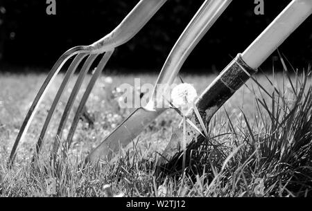 Eine Gabel, eine Gartenarbeit Gartenarbeit Gartenarbeit schaufel Spaten und ein Gegeneinander gelehnt von Grass in einem Garten umgeben, die Sonne scheint, Schwarz und w Stockfoto