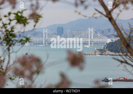 Viele Gebäude mit der Brücke in die berühmte Gwangan Haeundae Bezirk bei Busan, Südkorea Stockfoto