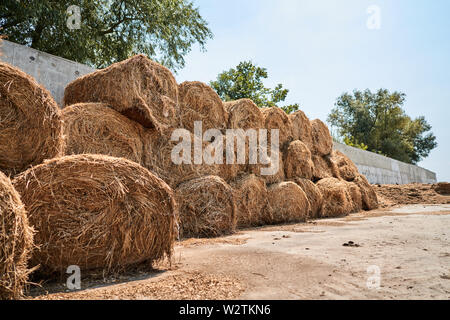 Geerntete Heu Stacks Stockfoto