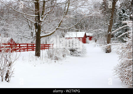 Malerische Aussicht mit roten Scheunen und Begrenzungen in der durch frischen Schnee Wald bedeckt. Morgen nach Blizzard. Landwirtschaft, Landwirtschaft und ländlichen Lebens im Winter zurück Stockfoto