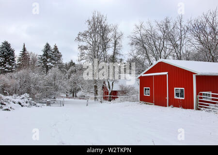 Ländliche Landschaft mit roten Scheunen, Bäume und Strasse durch frischen Schnee bedeckt. Malerische winter Blick bei Wisconsin, Midwest USA, Madison Area. Stockfoto