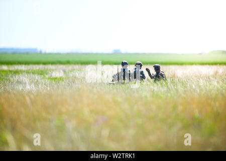 Boboc, Rumänien - 22. Mai 2019: Die rumänische Armee Soldaten patrouillieren in einem Feld, an einem sonnigen Sommertag während einer Räumungsübung. Stockfoto