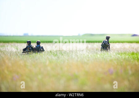 Boboc, Rumänien - 22. Mai 2019: Die rumänische Armee Soldaten patrouillieren in einem Feld, an einem sonnigen Sommertag während einer Räumungsübung. Stockfoto