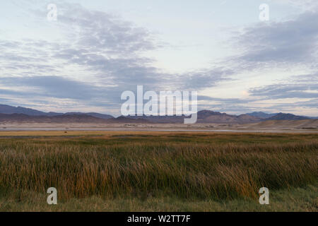 Aufnahme im Grimshaw Lake Natural Area in der Nähe von Tecopa im Inyo County, Kalifornien. Dies ist ein Bereich, in dem es um Umweltbelange geht. Stockfoto