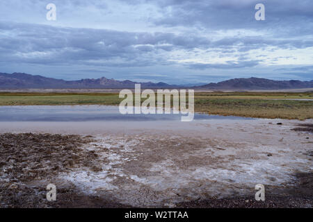 Bild, mit Blick nach Westen, aufgenommen in der Grimshaw Lake Natural Area nahe Tecopa im Inyo County, Kalifornien. Dies ist ein Bereich, in dem es um Umweltbelange geht. Stockfoto