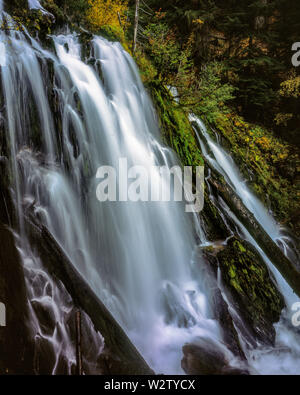 Nationalen Creek Falls, Rogue River National Forest, Oregon Stockfoto