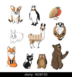 Satz von niedlichen Tiere auf weißem Hintergrund. Red Fox, Owl, Kaninchen, Erdmännchen, Katze, corgi, Vogel, Pinguin und Tragen. Vektor illustration Stock Vektor