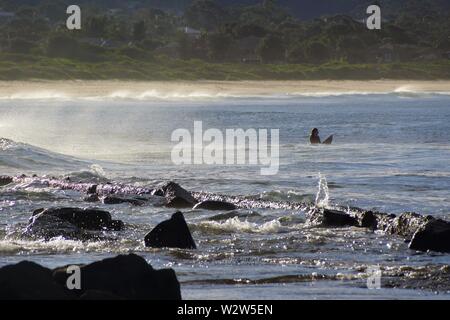 Surfen aus Bellambi Punkt Australien Stockfoto