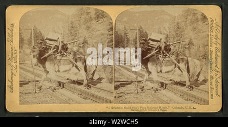 Ich half Pike's Peak railroad mich, Colorado, USA, von Robert N Dennis Sammlung von stereoskopische Ansichten zu bauen Stockfoto