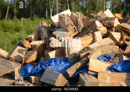 Einen großen Haufen von Holz im Sommer Stockfoto