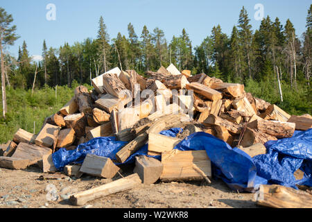 Einen großen Haufen von Holz im Sommer Stockfoto