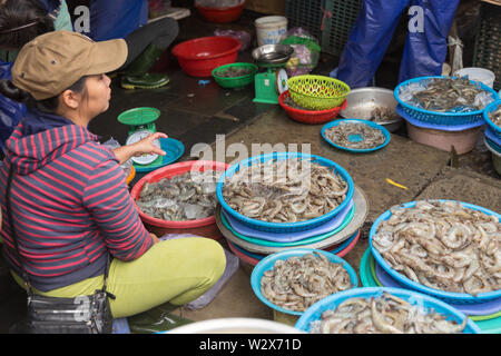 HOI AN, VIETNAM - Januar 03, 2019: Viele Zeile, große Krabben und Garnelen im vietnamesischen Markt in die Platten sind in der Straße Fischmarkt Stockfoto