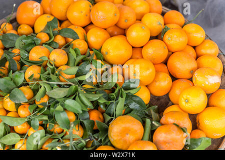 Schöne tangerine auf Markt in Asien. Reifen Mandarinen Obst auf dem Zweig Stockfoto