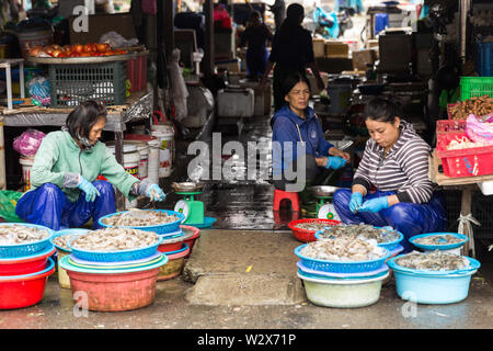 HOI AN, VIETNAM - Januar 03, 2019: Viele Zeile, große Krabben und Garnelen im vietnamesischen Markt in die Platten sind in der Straße Fischmarkt Stockfoto